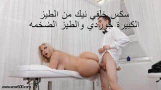 سكس خلفي