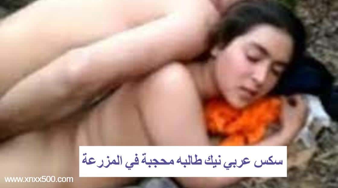 سكس عربي نيك طالبه محجبة في المزرعة - سكس نيكة