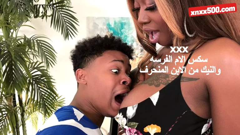 xxxسكس الام الفرسه والنيك من الابن المنحرف