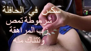سكس في الحافلة