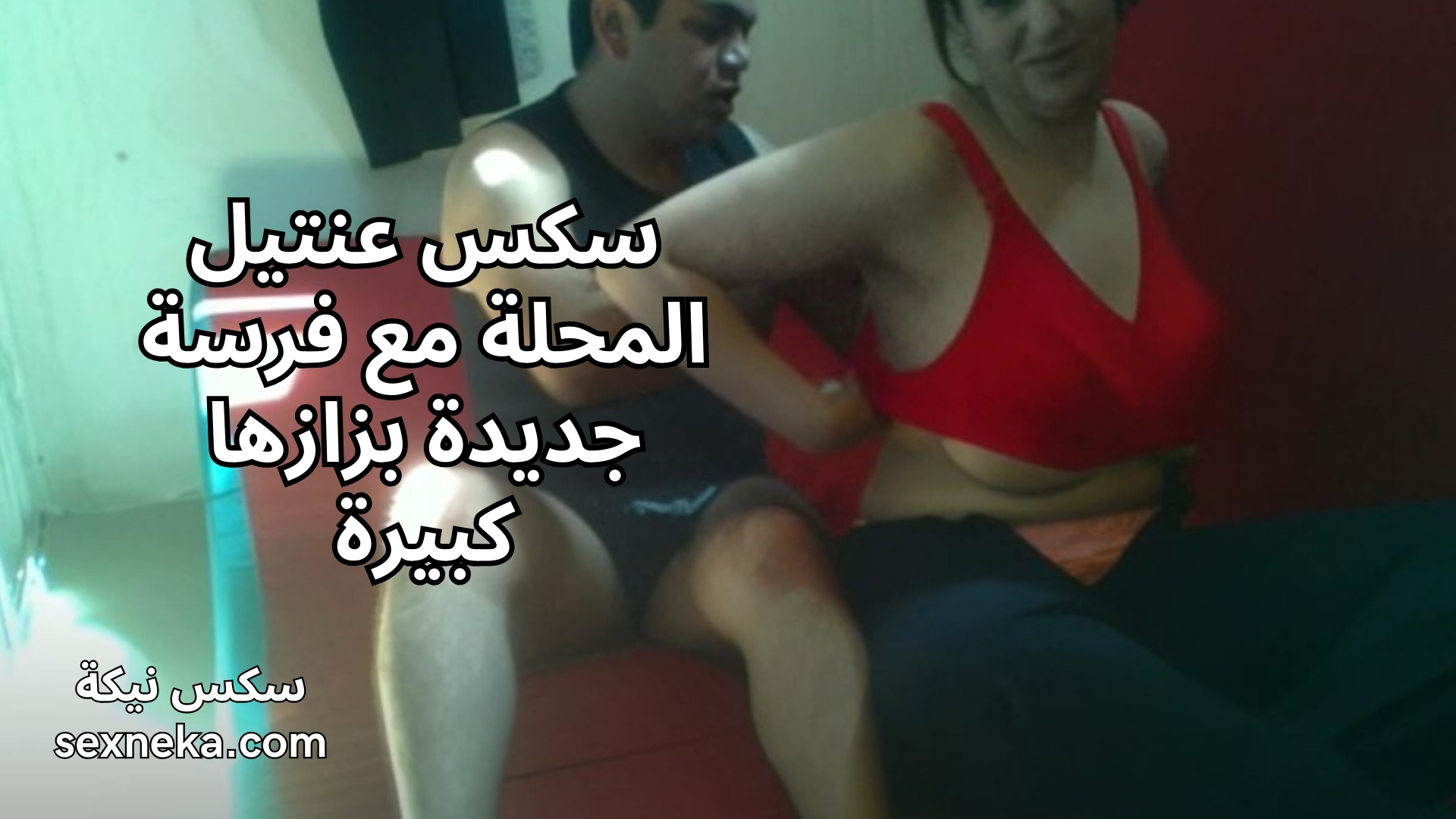 سكس عنتيل المحلة مع فرسة جديدة بزازها كبيرة ملبن xxhx - سكس نيكة