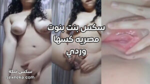 سكس مصري