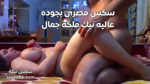 سكس مصرى بجوده عاليه