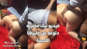 سكس مصري 2026