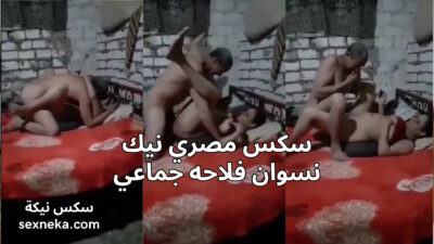 سكس مصري نسوان فلاحه بيتناكو من رجل كبير في السن